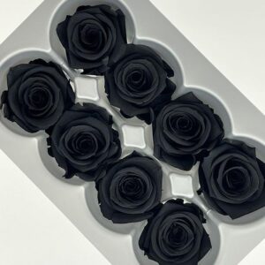 Roses, Black, Preserved, x8 blooms, 4cm (Verdissimo®)