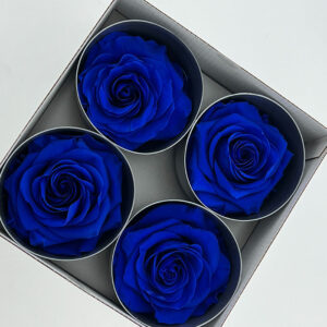 Roses, Blue, Preserved, x4 blooms, 8cm (Verdissimo®)