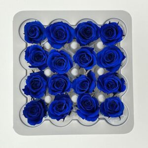 Roses, Blue, Preserved, x16 blooms, 2cm (Verdissimo®)