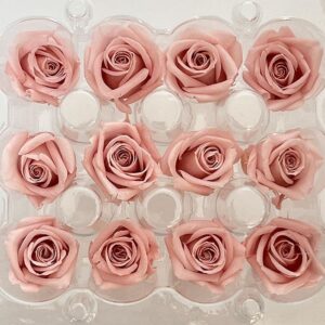 Roses, Dusky Rose Pink, Preserved, x12 blooms, 2cm (Kiara®)