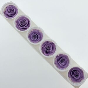 Roses, ‘Dusty Lavender’, Preserved, x6 blooms, 6cm (Kiara®)