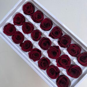 Roses, Burgundy Dark Red, Preserved, x21 blooms, 3cm (Every Love®)