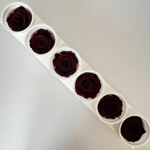 Roses, Burgundy, Preserved, x6 blooms, 6cm (Kiara®)