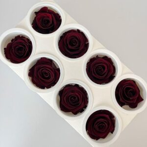 Roses, Burgundy, Preserved, x8 blooms, 5cm (Kiara®)
