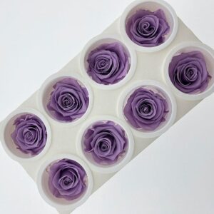 Roses, Dusty Lavender, Preserved, x8 blooms, 5cm (Kiara®)