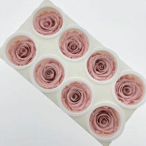 Roses, ‘Dusky Rose’ Pink, Preserved, x8 blooms, 5cm (Kiara®)