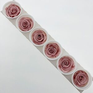 Roses, ‘Dusky Rose’ Pink, Preserved, x6 blooms, 6cm (Kiara®)