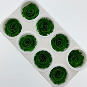 Roses, Emerald Green, Preserved, x8 blooms, 5cm (Kiara®)