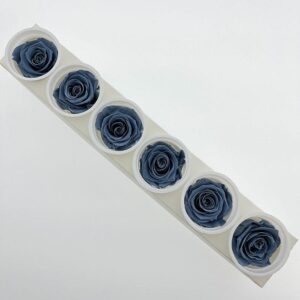 Roses, ‘Night Shadow’ Blue, Preserved, x6 blooms, 6cm (Kiara®)