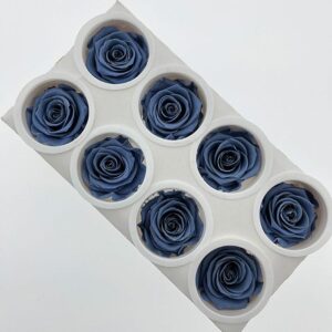 Roses, ‘Night Shadow’ Blue, Preserved, x8 blooms, 5cm (Kiara®)