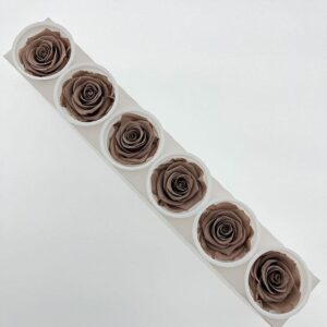 Roses, ‘Smoked Oak’ Brown, Preserved, x6 blooms, 6cm (Kiara®)