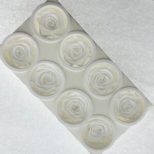 Roses, Pure White, Preserved, x8 blooms, 5cm (Kiara®)