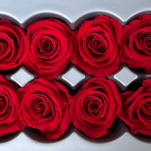Roses, Red, Preserved, x8 blooms, 4cm (Verdissimo®)