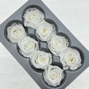 Roses, White, Preserved, x8 blooms, 4cm (Verdissimo®)