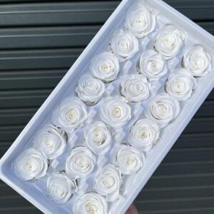 Roses, White, Preserved, x21 blooms, 3cm (Every Love®)