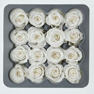 Roses, White, Preserved, x16 blooms, 2cm (Verdissimo®)
