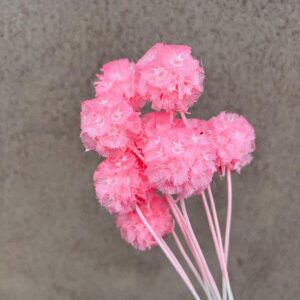 Scabiosa Seed Heads, Neon Pink, Preserved (Pincushions) 35cm