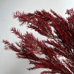 Tea Tree Foliage, Dark Red, Preserved (Melaleuca) 50-90cm