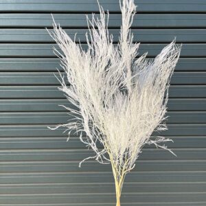 Asparagus virgatus, Bleached White, Preserved (Tree Fern) 80cm