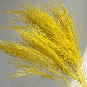 Asparagus virgatus, Yellow, Preserved (Tree Fern) 70cm
