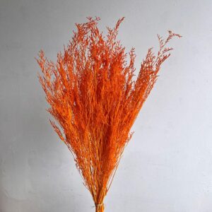 Limonium Caspia, Neon Orange, Preserved (Sea Lavender) 70cm
