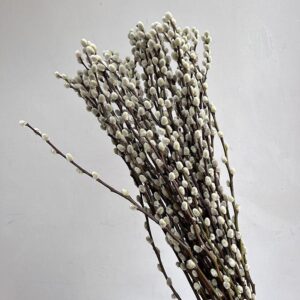 Pussy Willow, Dried Natural Brown Stems, 70cm