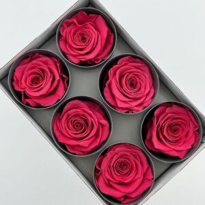 Roses, Deep Pink, Preserved, x6 blooms, 5cm (Verdissimo®)