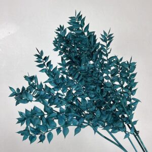 Ruscus, Jade Green, Preserved, 70cm