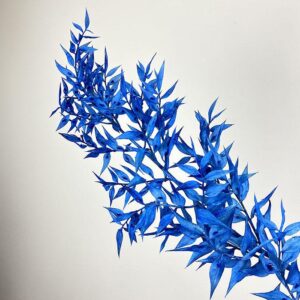 Ruscus, Deep Blue, Preserved, 70cm