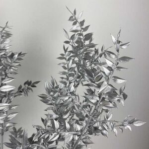 Ruscus, Metallic Silver, Preserved, 70cm