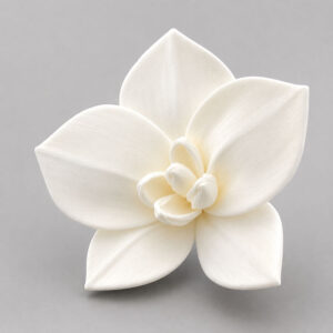 Sola Wood Flowers, Moth Orchids, White, 7cm