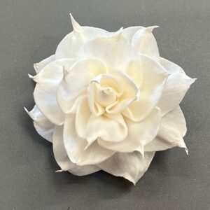 Sola Wood Flowers, Dahlia, White, 5cm ~ BULK BUY