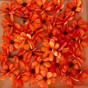 Sola Flowers, Daisy, Orange (Loose)