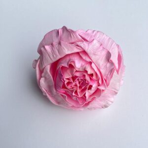 Sola Wood Flowers, Eden Roses, Light Pink, 8cm