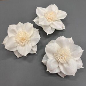 Sola Wood Flowers, Dahlia, White, 8cm