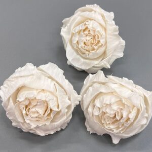 Sola Wood Flowers, Eden Roses, White, 8cm