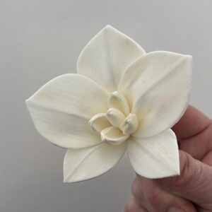Sola Wood Flowers, Moth Orchid, White, 7cm