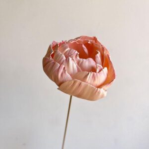 Sola Wood Flowers, Peony on Stem, Blush Pink, 65cm Bloom 8cm