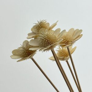 Sola Flowers, Stella Luna, White, 50cm