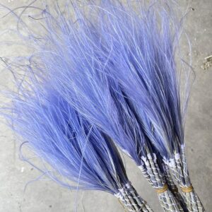 Stipa pennata Feather Grass, Lilac, Dried 50cm