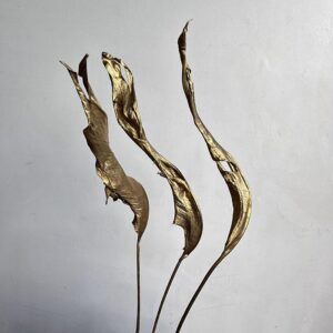 Bird of Paradise Leaf, Metallic Gold, Dried, 70cm (Strelitzia regina)
