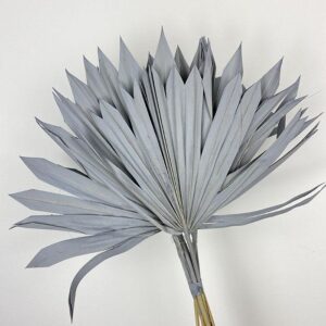 Sun Palms, Grey, Dried, 30-50cm H/14-15cm W/20-30cm