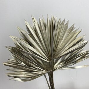 Sun Palms, Metallic Warm Gold, Dried, 30-50cm H/14-15cm W/20-30cm
