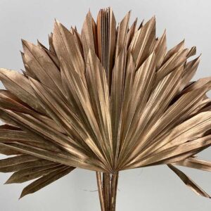 Sun Palms, Metallic Copper, Dried, 30-50cm H/14-15cm W/20-30cm
