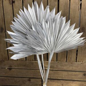 Sun Palms, Metallic Silver, Dried, 30-50cm H/14-15cm W/20-30cm
