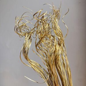 Curly Ting Ting, Gold, Dried, 70cm