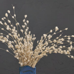 Weeping Bamboo, Bleached White, Dried (Cascading) 40-60cm