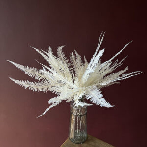 Mountain Ferns, Bleached White, Preserved (Earth Matters®) 30-40cm
