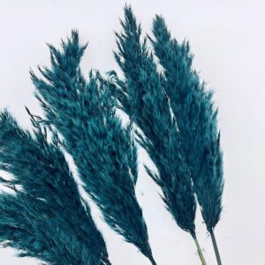 Pampas, Dried Fluffy Wild Reed Grass, Deep Jade Blue, 70cm