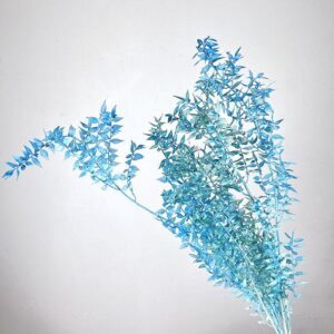 Ruscus Wild, Light Blue, Preserved, 30-65cm
